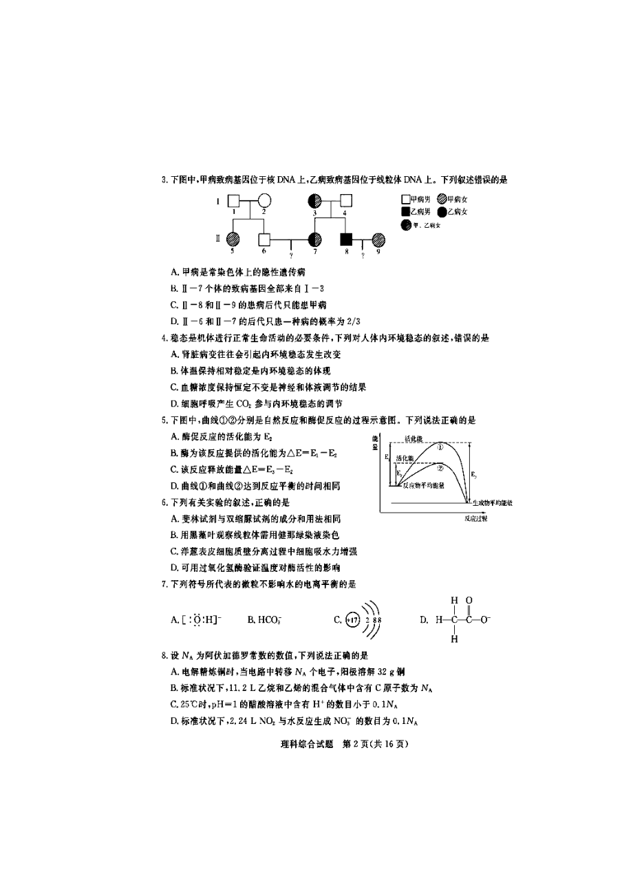 全国1卷高三第一次模拟考试理科综合试题及答案.doc_第2页