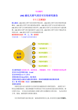 LNG液化天然气项目可行性研究报告.doc