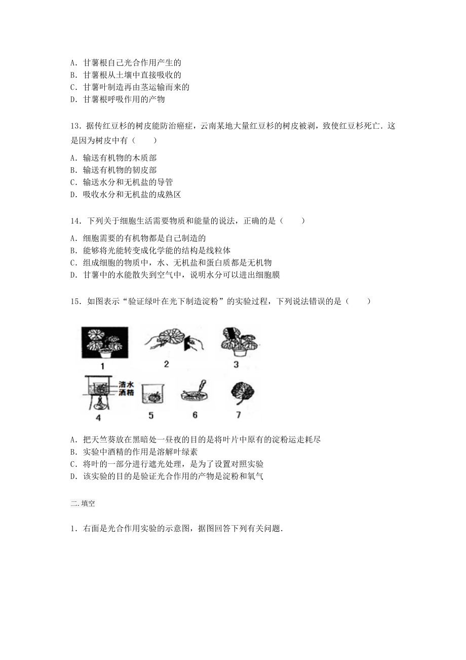 人教版七年级上册生物第三单元第四章《绿色植物与有机物》练习题【word版】无答案.docx_第3页