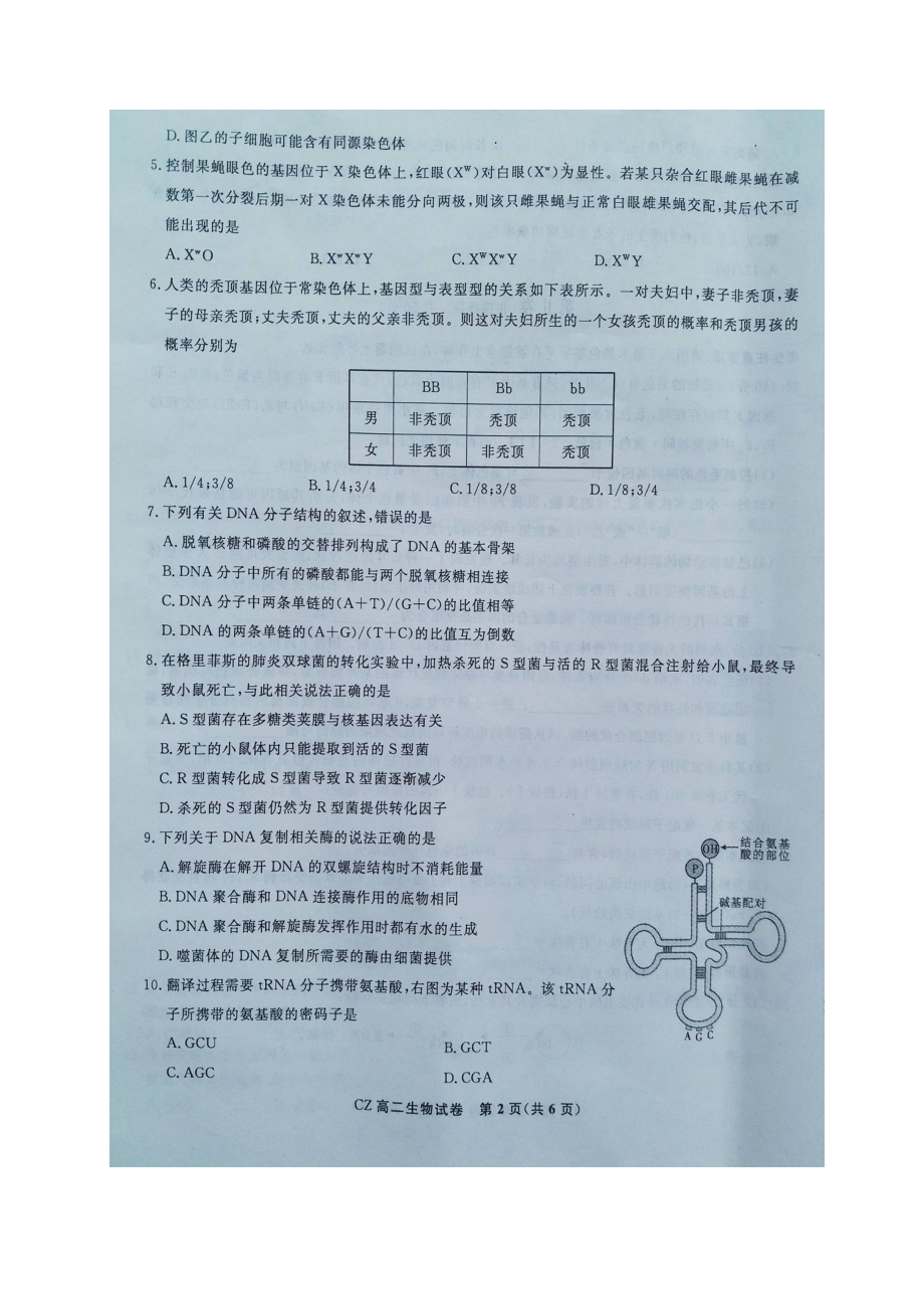 5104519528安徽省池州市普通高中高二生物上学期期末联考试题（扫描版）.doc_第2页