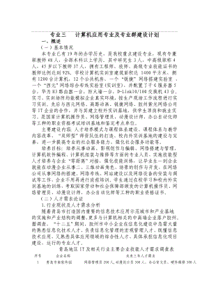 专业三---计算机应用专业及专业群建设计划.doc