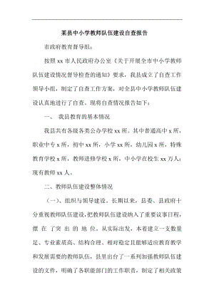 某县中小学教师队伍建设自查报告.doc