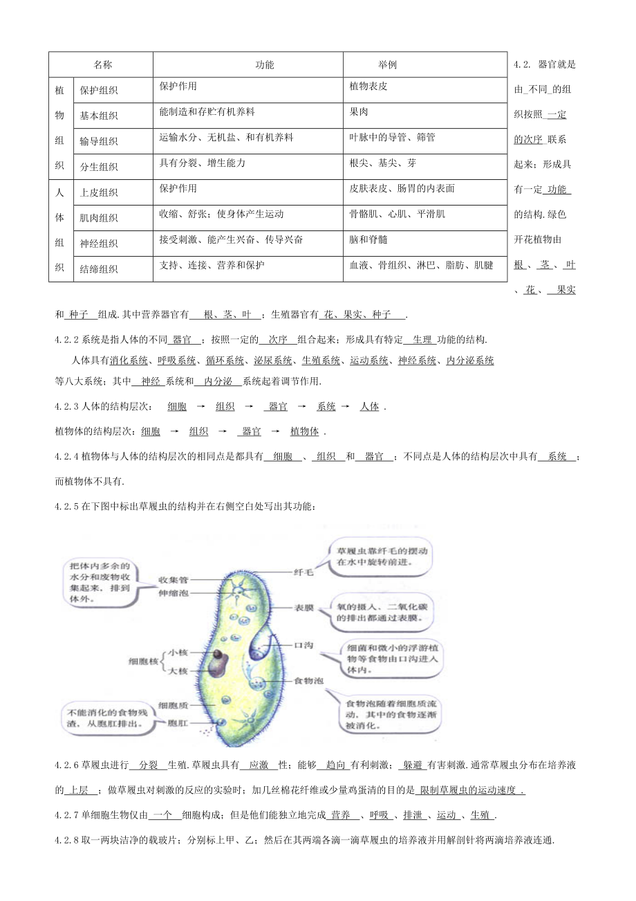 七年级生物(苏教版)知识点总结答案.doc_第3页