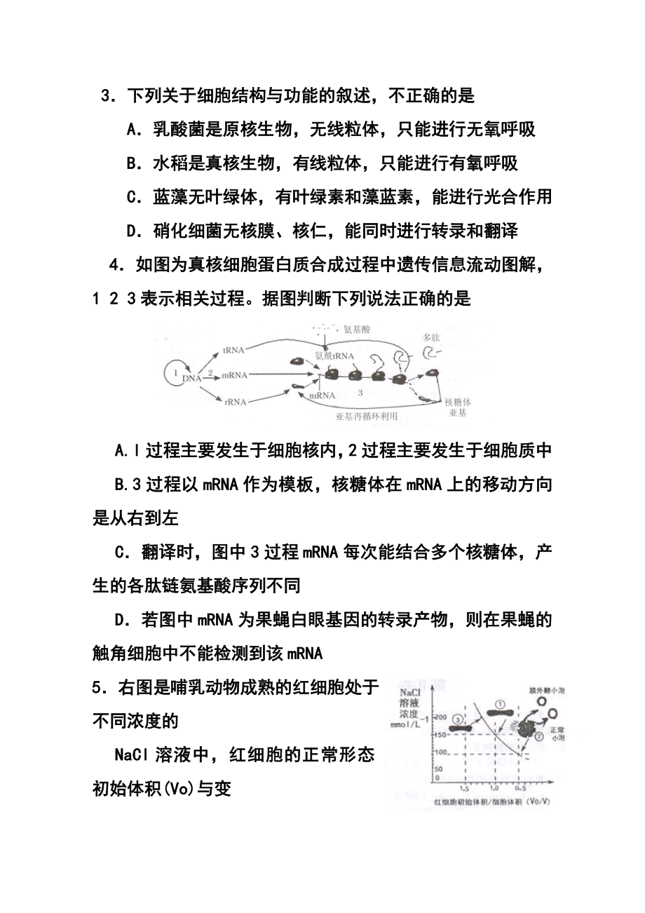 安徽省淮北市高三第一次模拟考试生物试题 及答案.doc_第2页