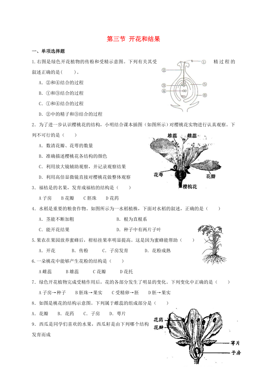 七年级生物上册-开花和结果练习题-人教新课标版.doc_第1页