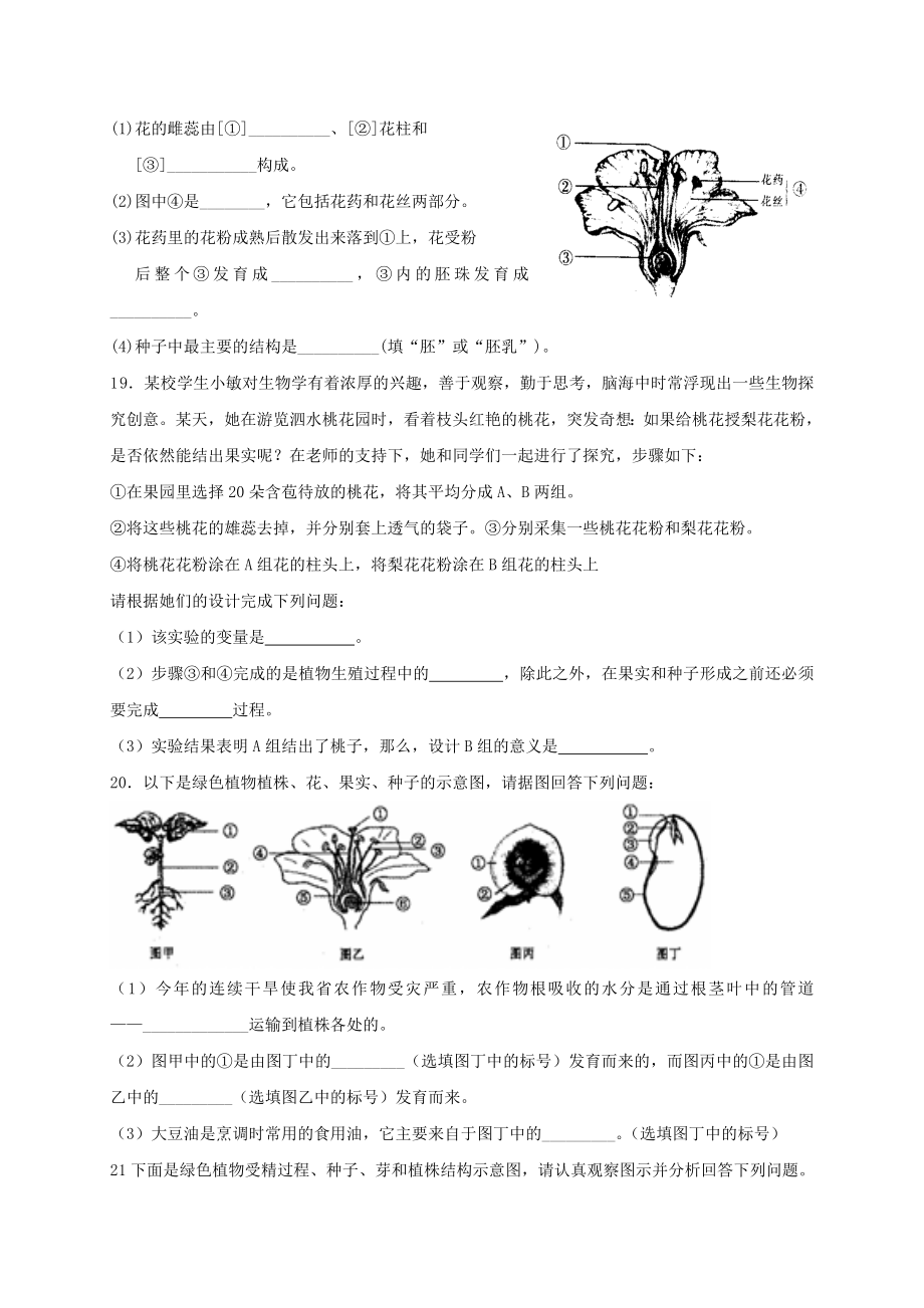 七年级生物上册-开花和结果练习题-人教新课标版.doc_第3页