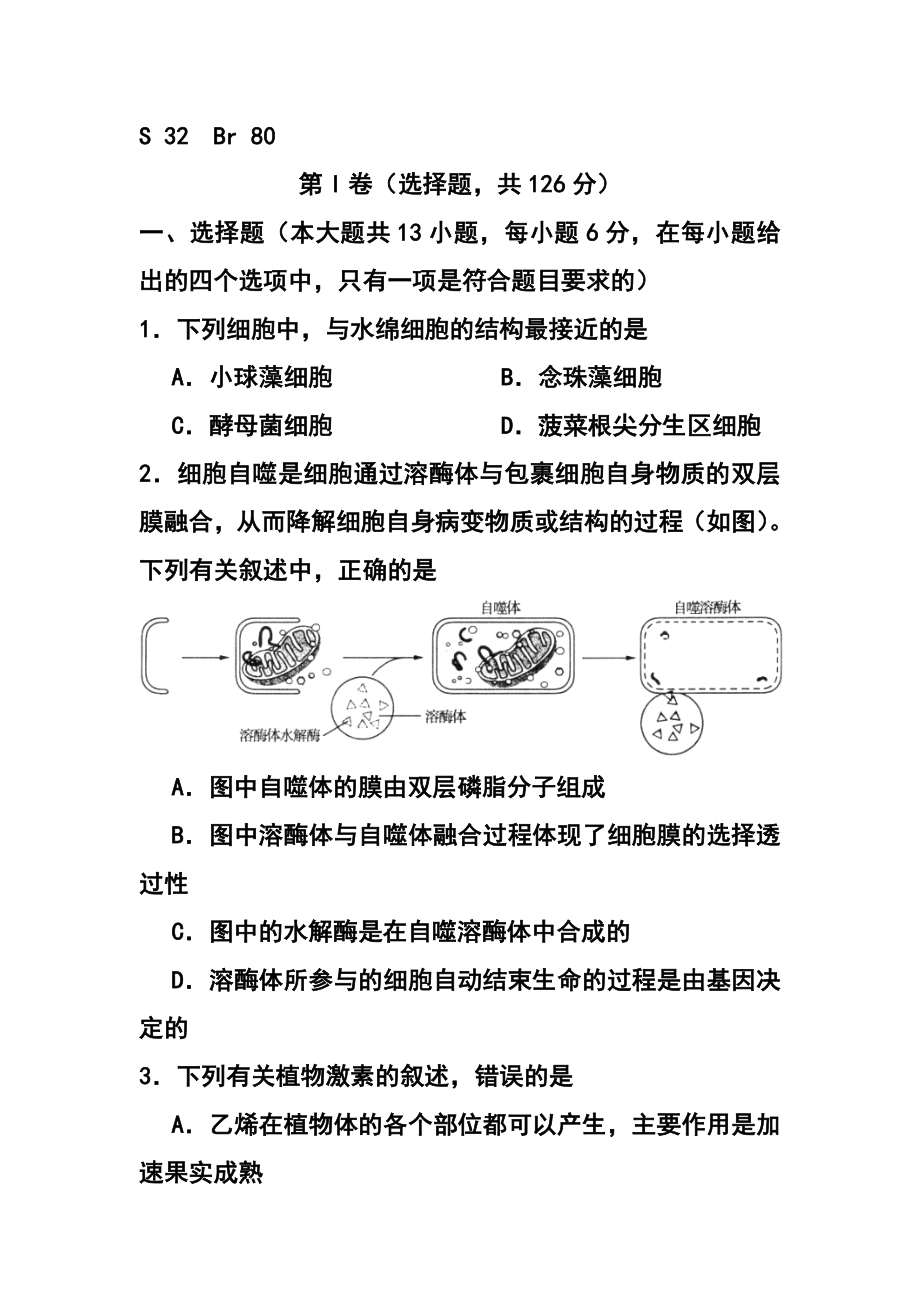 东北三省三校高三第一次联合模拟考试生物试题及答案.doc_第2页