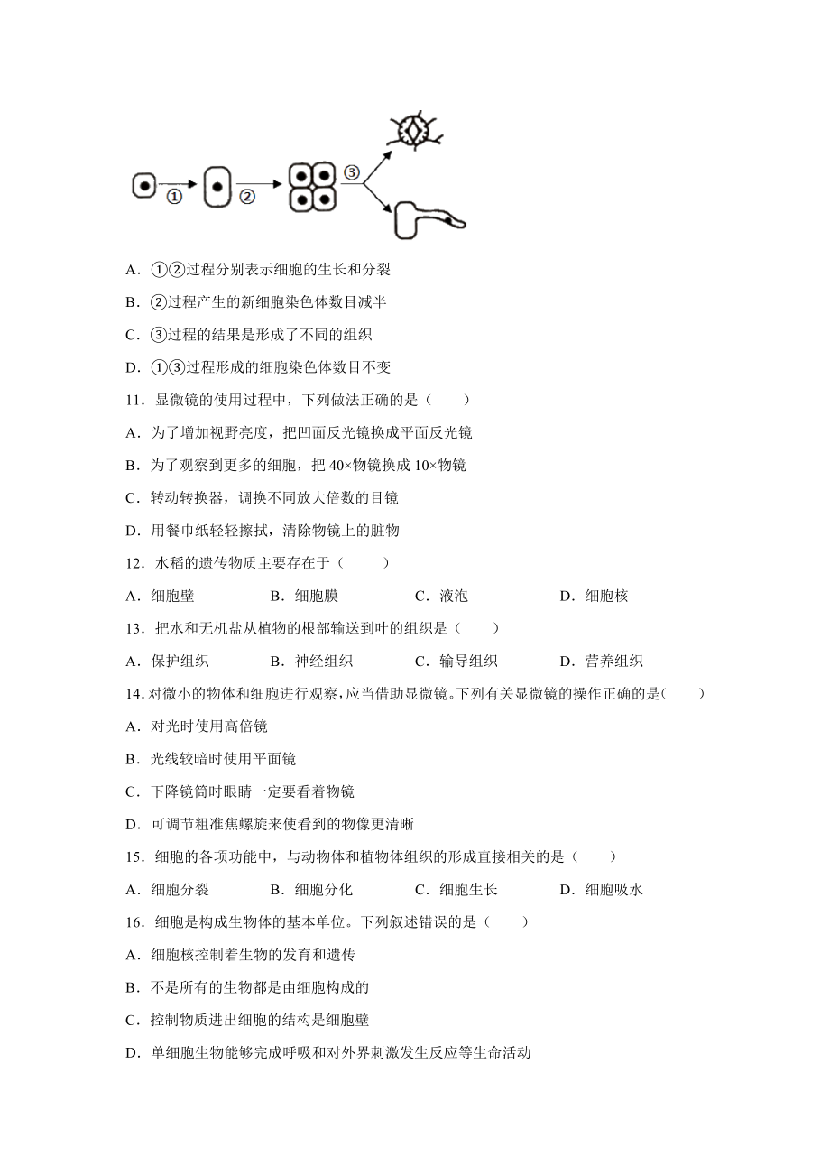 2020-中考复习：生物体的结构层次专题练习题(有答案).docx_第3页