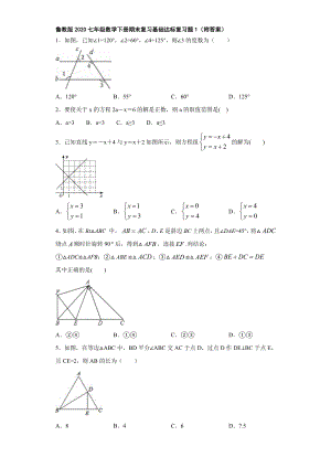 鲁教版2020七年级数学下册期末复习基础达标复习题1(附答案).doc