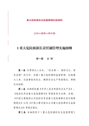 重大危险源源长责任制管理实施细则.doc