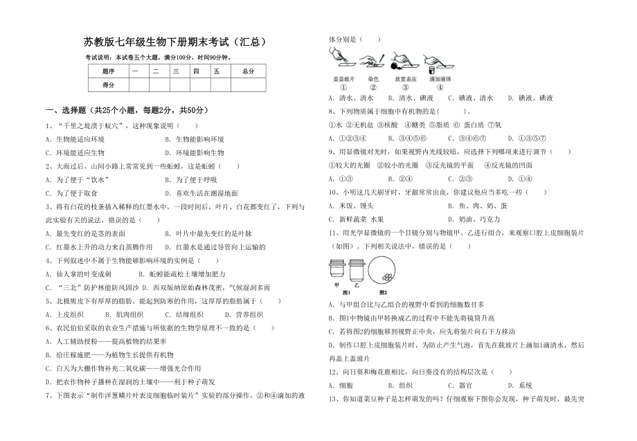 苏教版七年级生物下册期末考试(汇总).doc_第1页