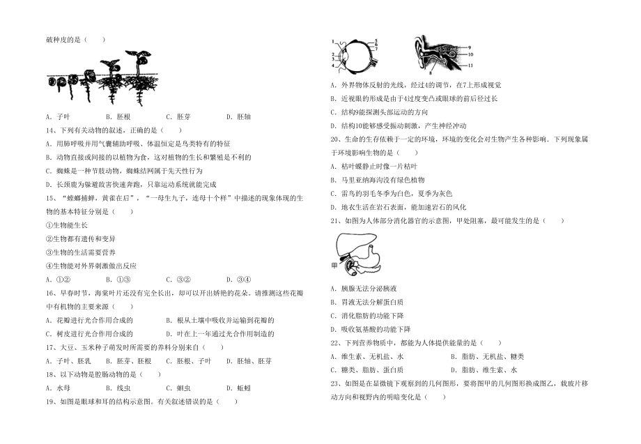 苏教版七年级生物下册期末考试(汇总).doc_第2页