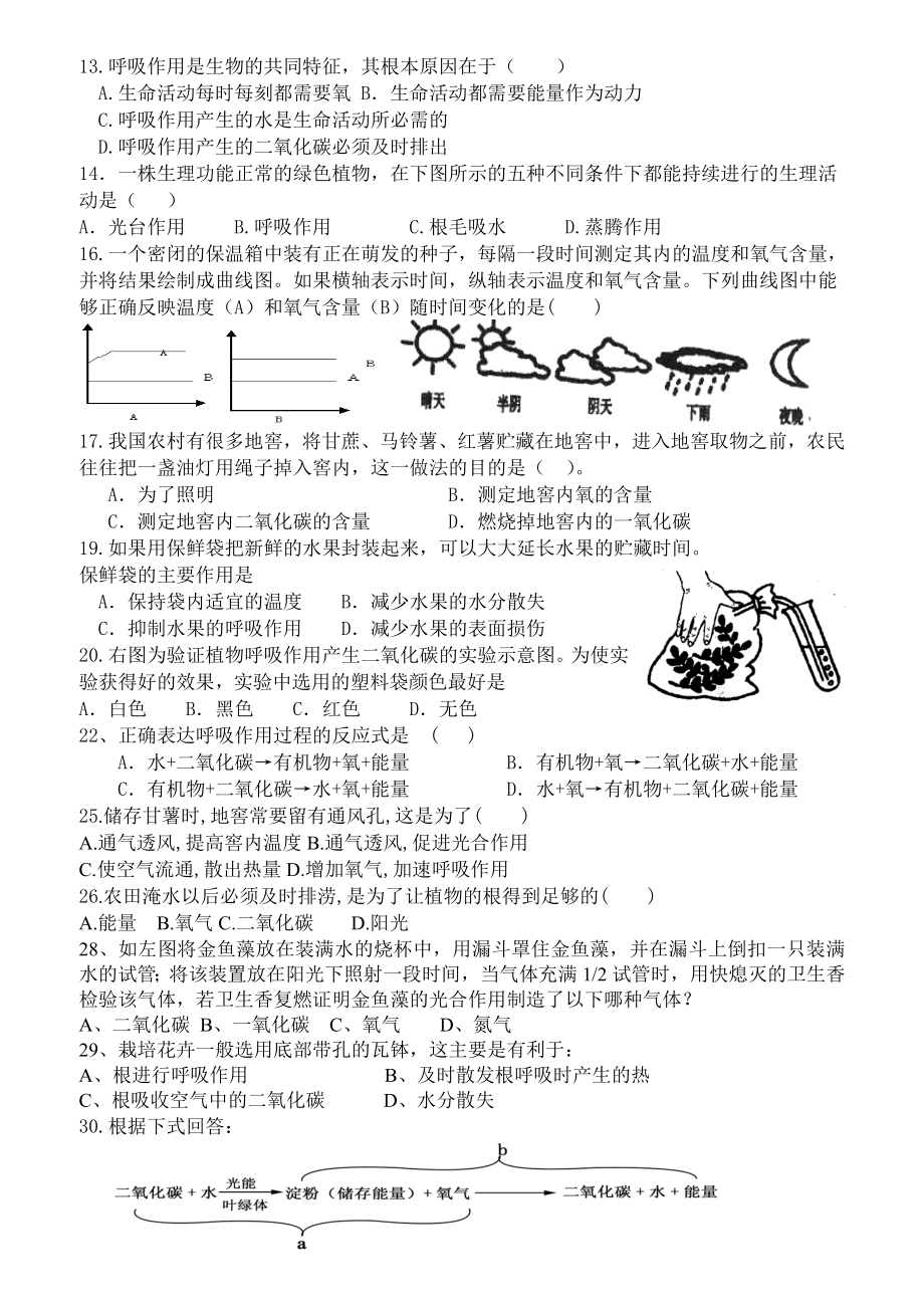 植物的呼吸作用练习题.doc_第2页