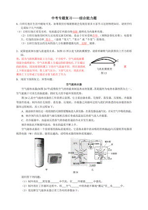 初中物理专题复习——综合能力题(含答案).doc