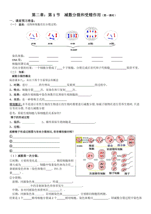 减数分裂导学案.doc