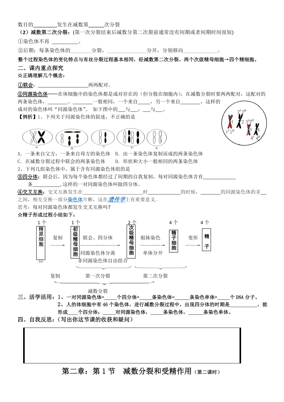 减数分裂导学案.doc_第2页