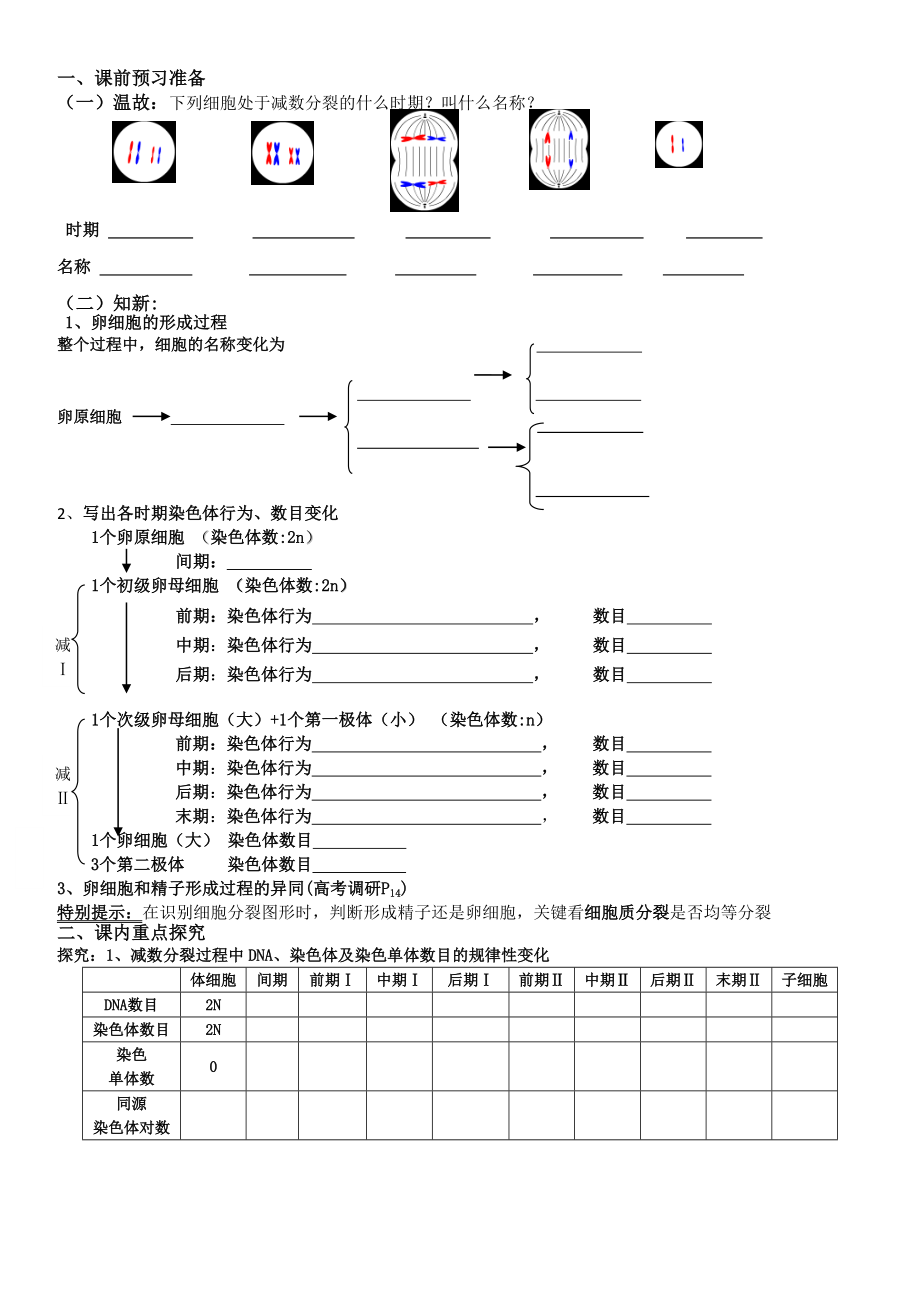 减数分裂导学案.doc_第3页