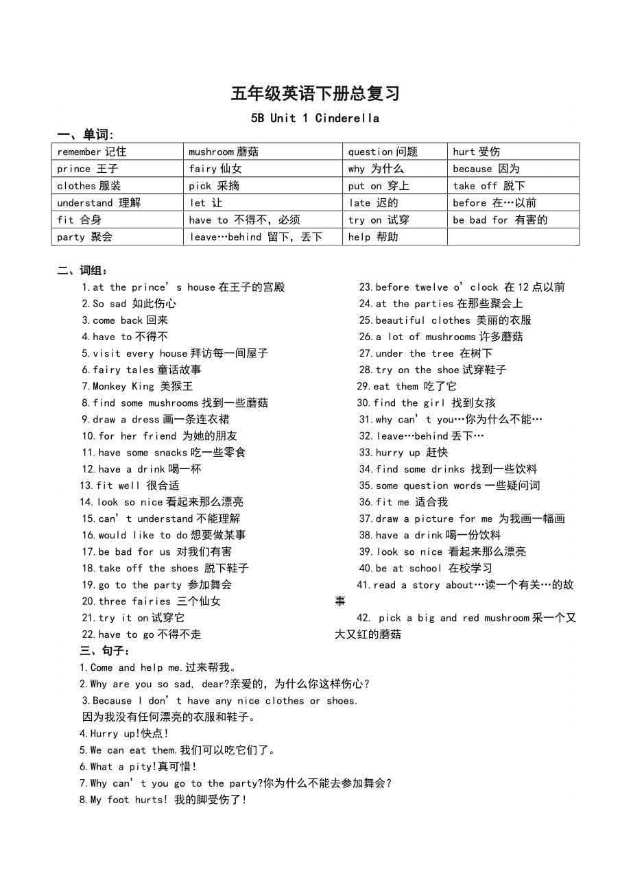 新颖译林小学英语5B全册知识点梳理.doc_第1页