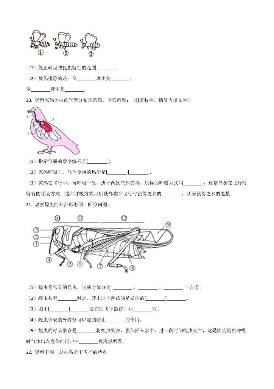 2019年春苏科版七年级下册生物-第12章-空中的生物-单元练习题--(无答案).doc_第3页