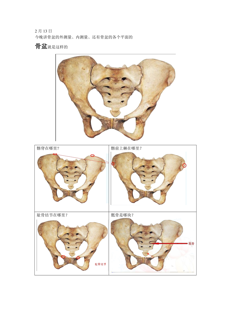 骨盆测量一看就懂.doc_第1页
