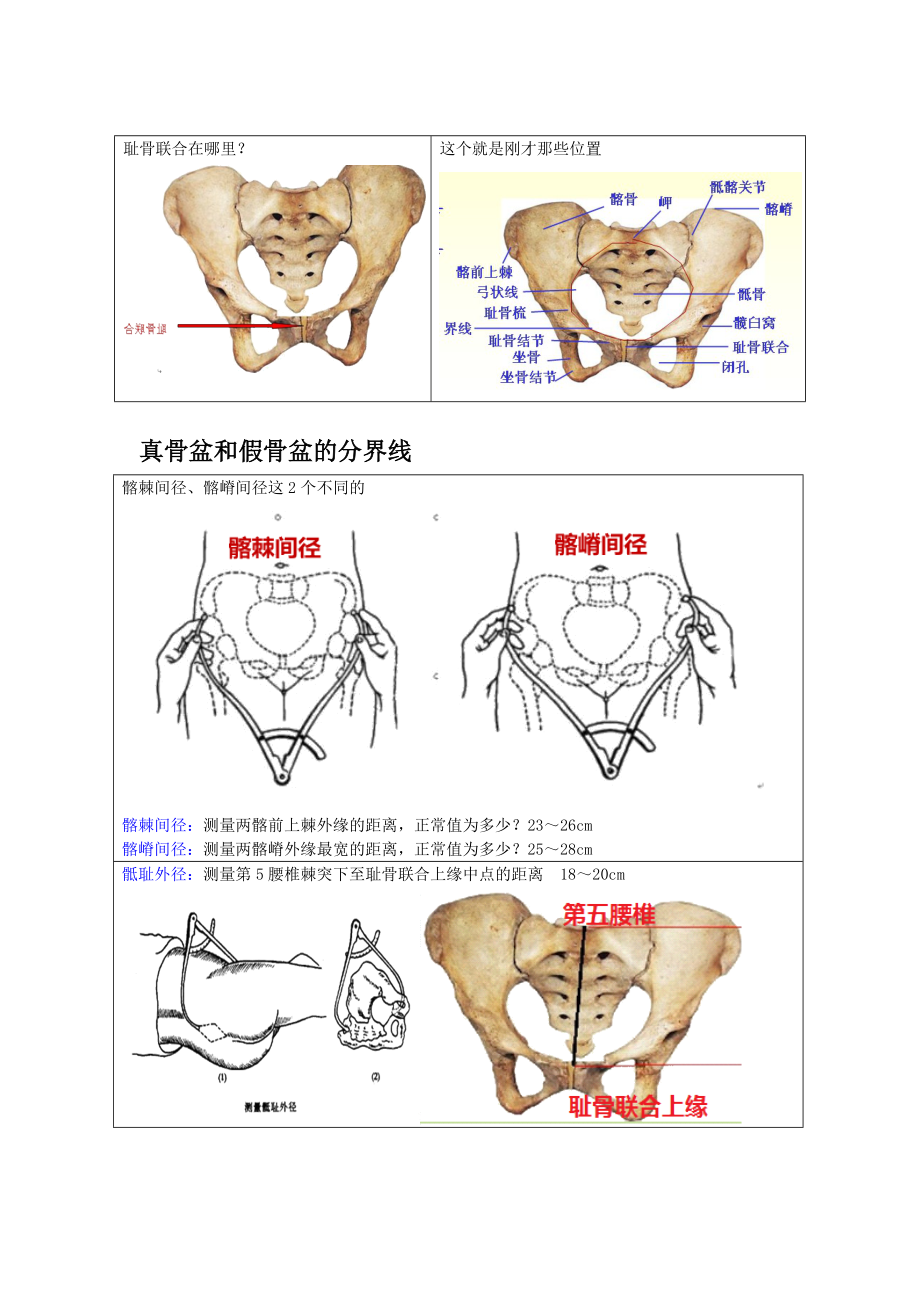 骨盆测量一看就懂.doc_第2页