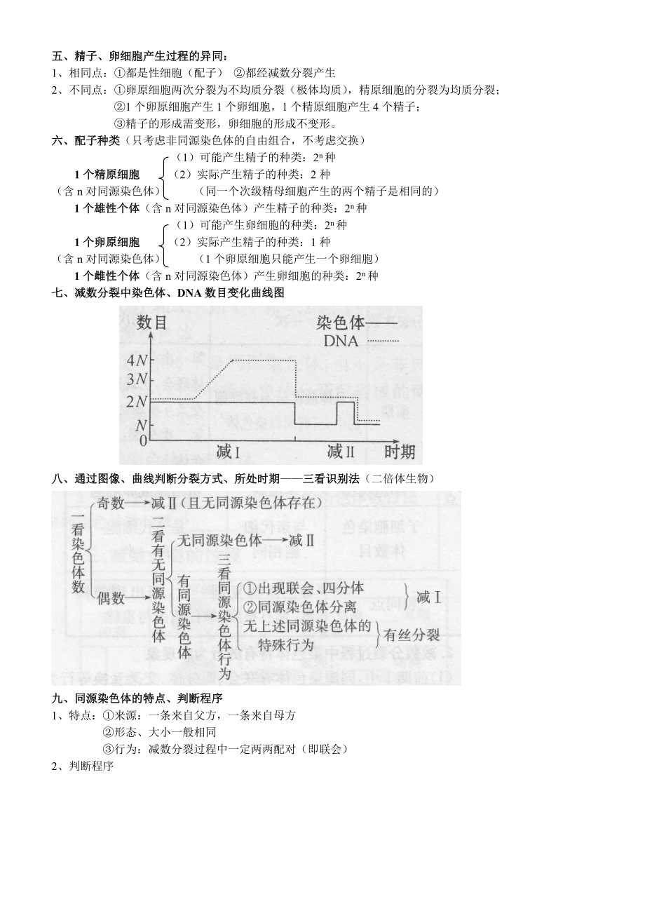 减数分裂知识点总结.doc_第2页