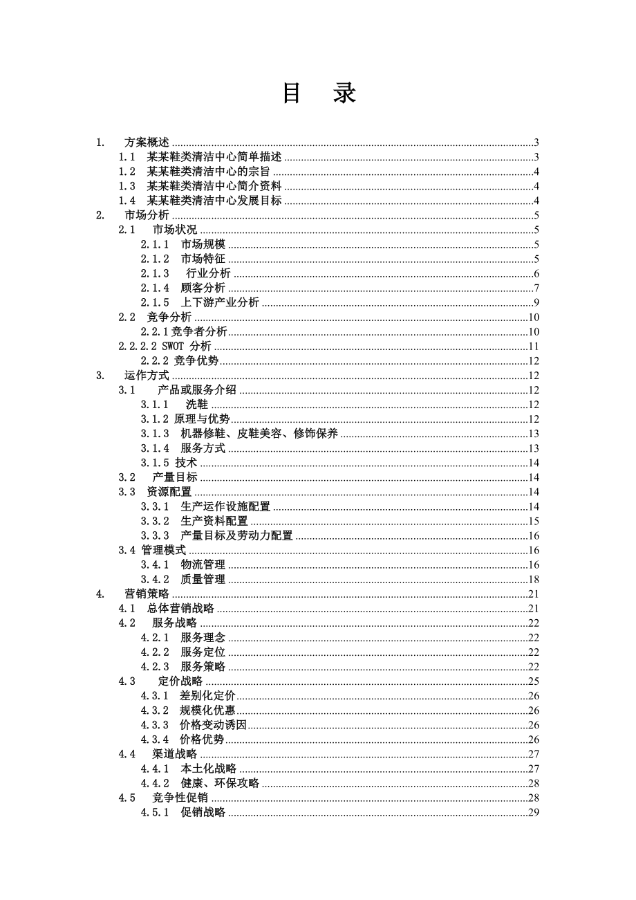 鞋类清洁项目计划书.doc_第2页