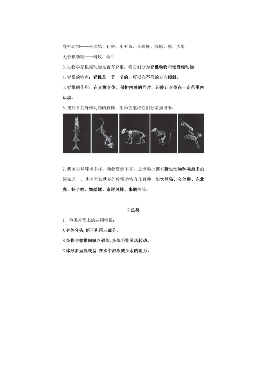 2020年秋苏教版科学四年级上册知识点-苏教版-(图片版).doc_第2页