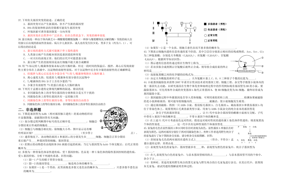 高二生物必修二复习题.doc_第3页