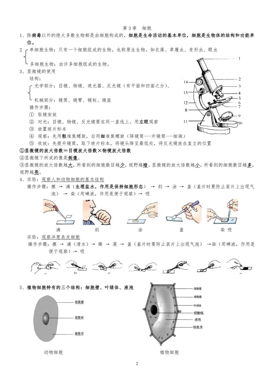 北师大版七年级上册生物复习提纲.doc_第2页