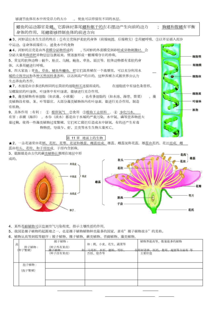 苏科版生物七年级下册知识点总结期末复习资料.doc_第3页