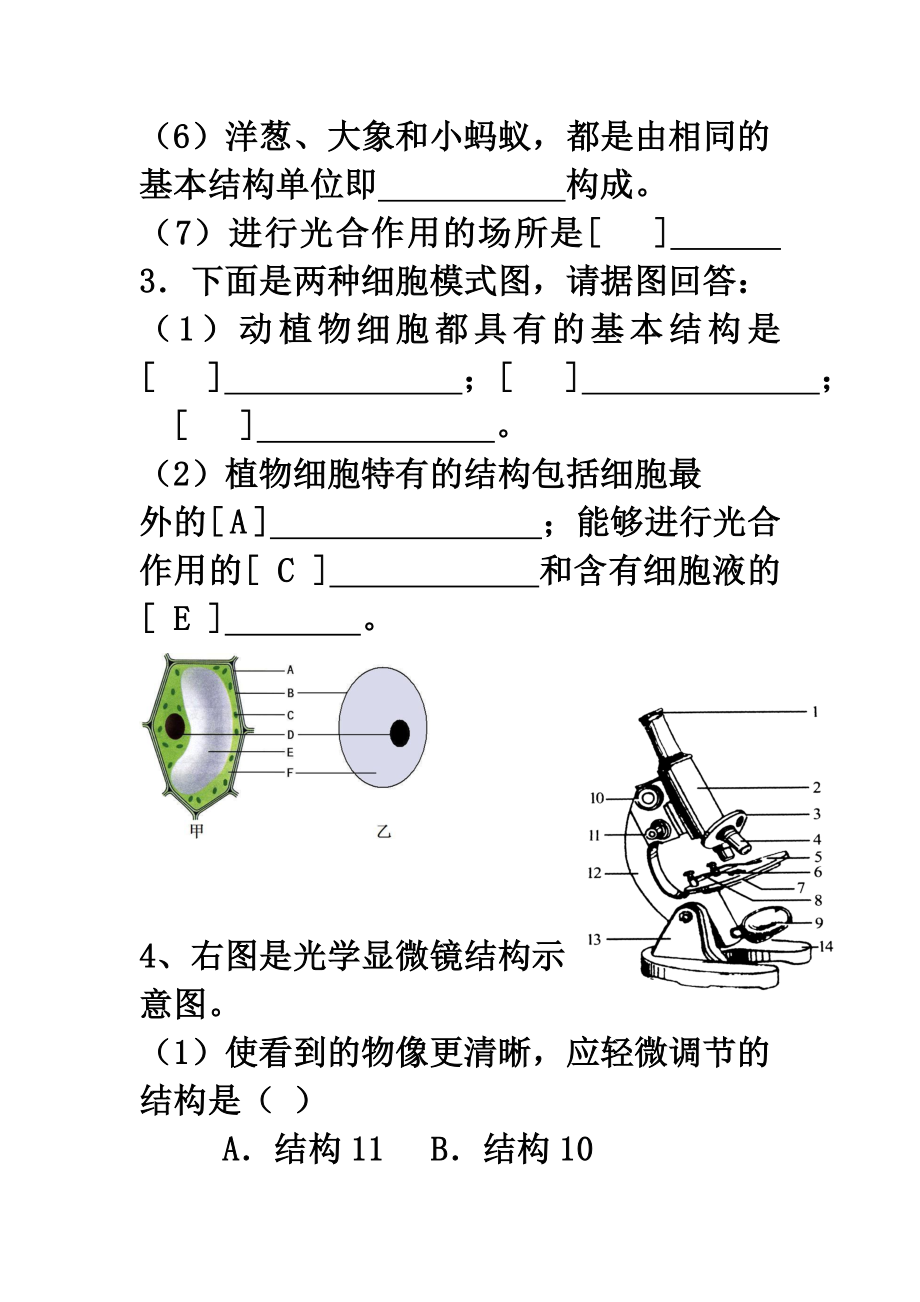 人教版初中生物识图专题-汇总.doc_第3页