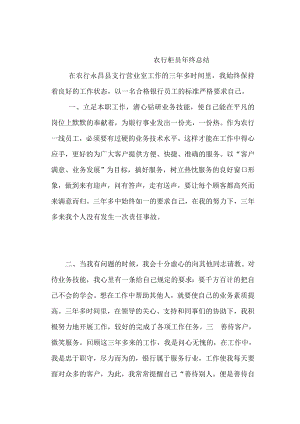 银行柜员终总结.doc