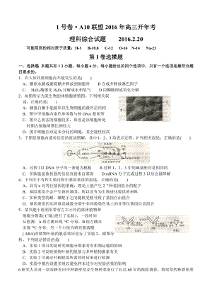 安徽省皖智“1号卷”A10联盟高三下学期开学联考理科综合试题及答案.doc