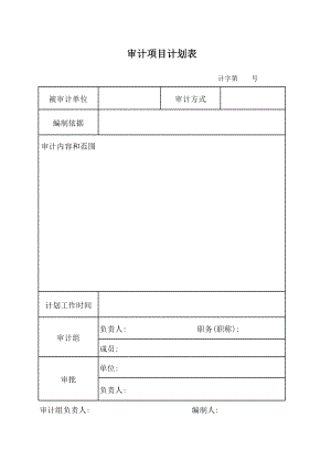 信用社（银行）审计报告表格.xls