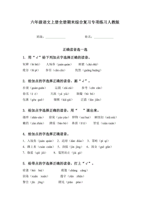 六年级语文上册全册期末综合复习专项练习人教版.doc