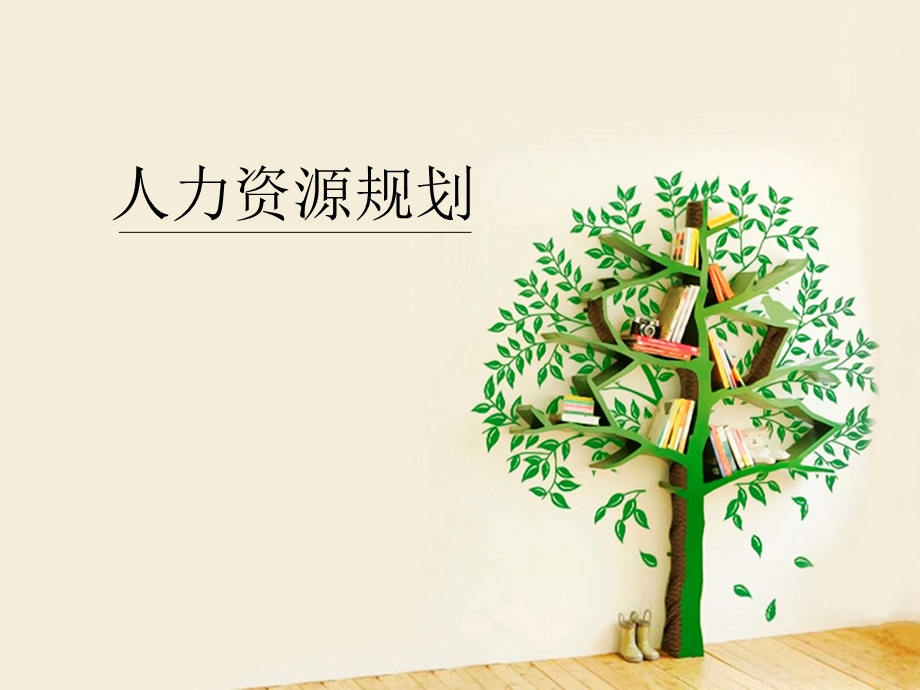 人力资源规划(12).ppt_第1页