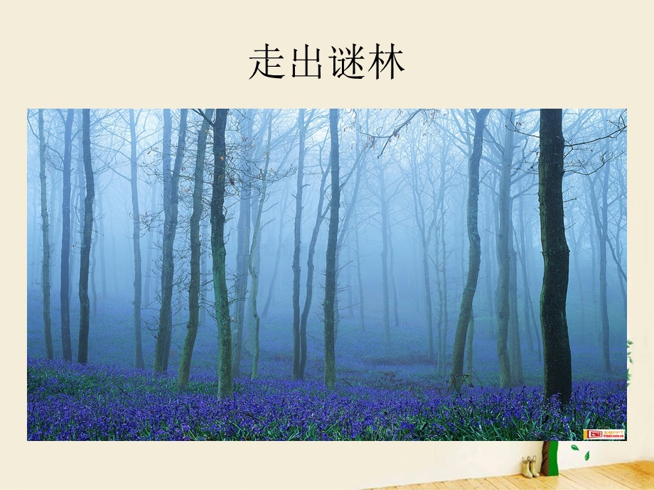 人力资源规划(12).ppt_第3页