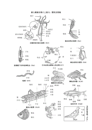 新人教版八年级生物上册复习资料：图形填空及答案.doc