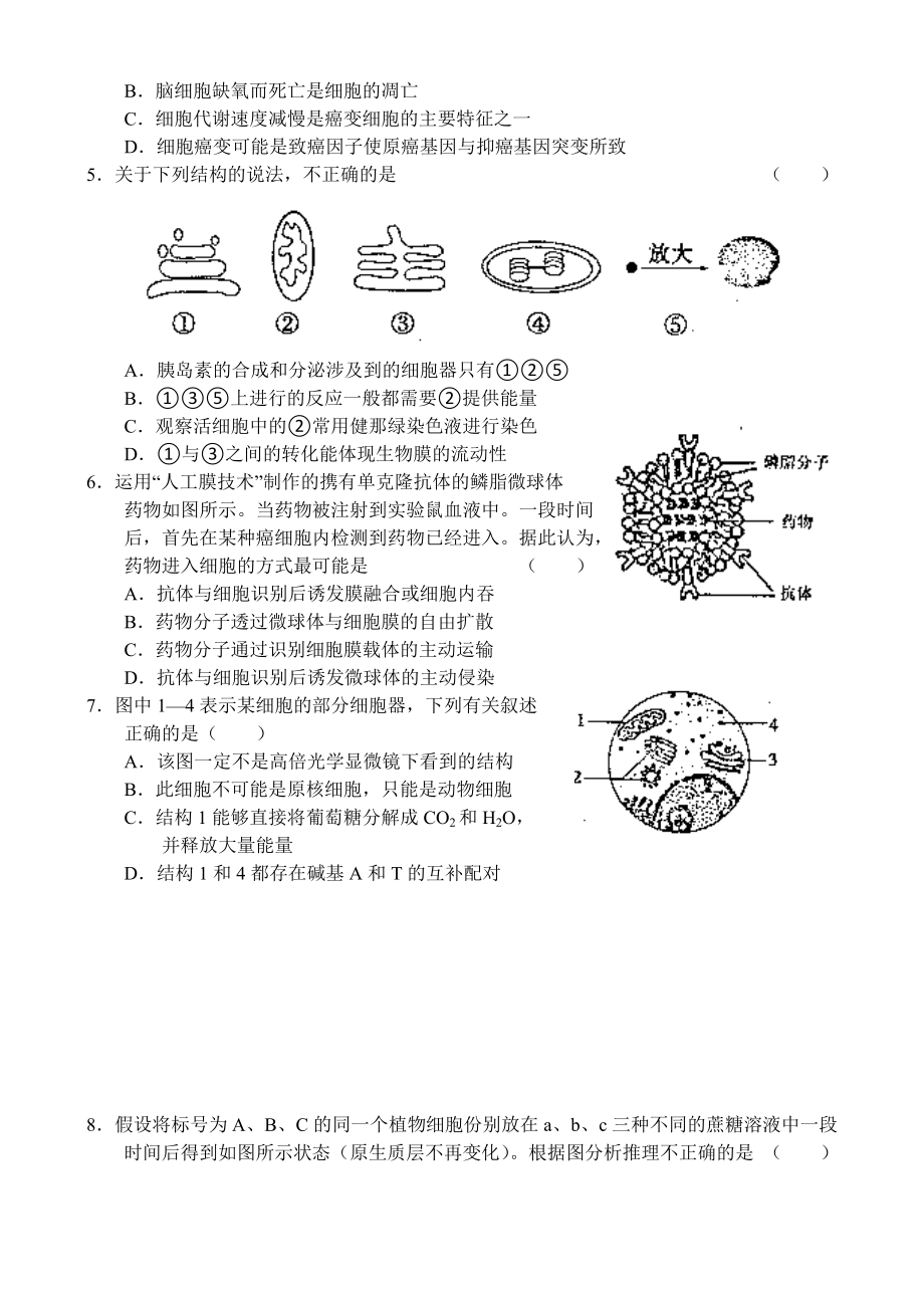 信阳市高三第一次调研考试(生物).doc_第2页