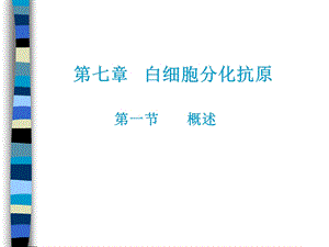 CD分子(研究生).ppt