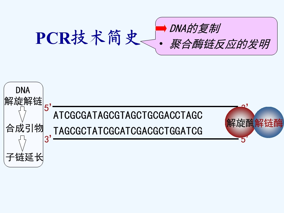 PCR(级研究生).ppt_第3页