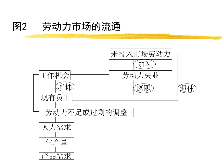 人力资源功能.ppt_第3页