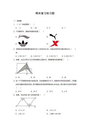 北师大版七年级数学下册期末复习练习题(含答案).doc