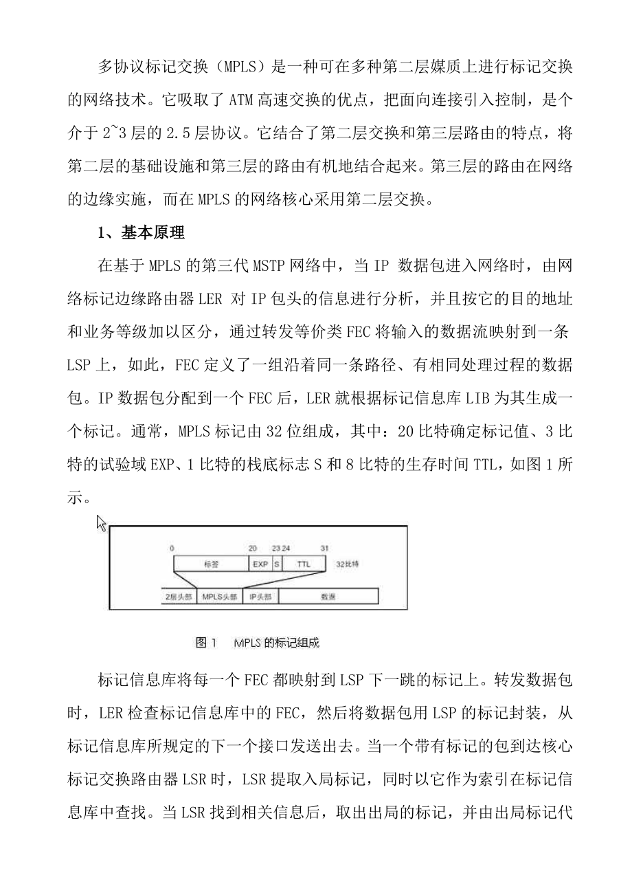 新一代MSTP技术及其应用(MPLS).doc_第3页