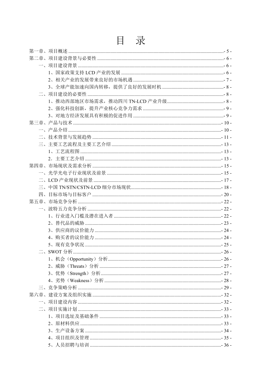 STNLCD液晶显示器项目可行性研究报告.doc_第2页