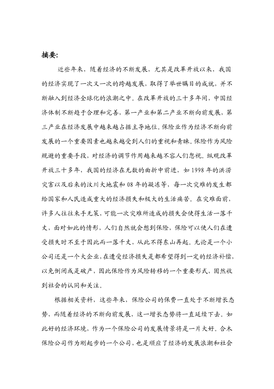 保险公司商业策划书.doc_第2页