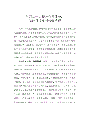 学习二十大精神心得体会：党建引领乡村精细治理.docx