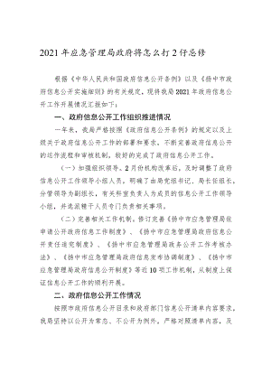 2021年应急管理局政府信息公开工作总结.docx