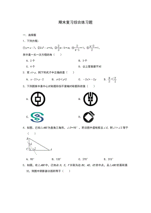 华东师大版数学七年级下册期末复习综合练习题.doc